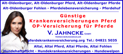 Krankenversicherungen-Pferd