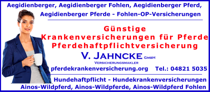 Krankenversicherungen-fuer-Pferde